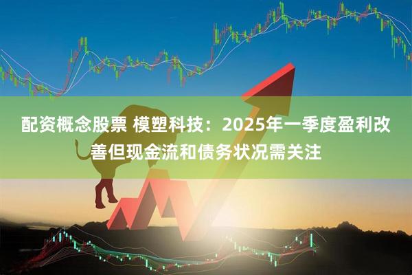配资概念股票 模塑科技：2025年一季度盈利改善但现金流和债务状况需关注